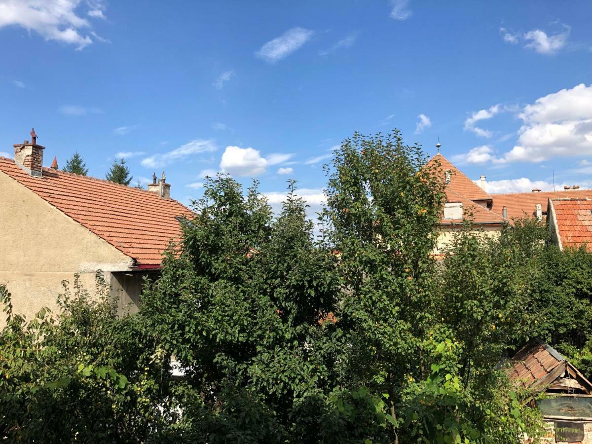 Schei Apartment 2 Braszów Zewnętrze zdjęcie